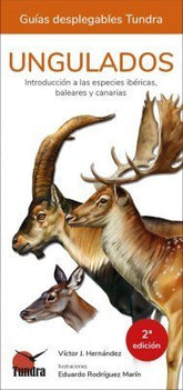UNGULADOS INTRODUCCION A LAS ESPECIES IBERICASBALEARES Y - 9788418458064